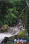 Mungalli Falls Bottom . . . CLICK TO ENLARGE