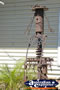 Muttaburra Sculpture . . . CLICK TO ENLARGE