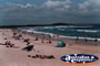 Noosa . . . CLICK TO ENLARGE