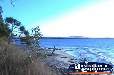 Noosa Heads National Park View . . . VIEW ALL NOOSA HEADS NP PHOTOGRAPHS