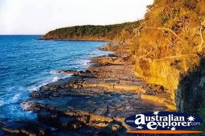 View of Noosa Heads National Park . . . CLICK TO VIEW ALL NOOSA HEADS NP POSTCARDS