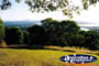 Noosa Laguna Lookout Bushes