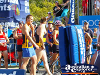 Athletes in Noosa Triathalon . . . CLICK TO ENLARGE