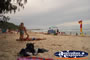 North Stradbroke Island . . . CLICK TO ENLARGE