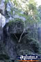 Olsens Capricorn Caves . . . CLICK TO ENLARGE