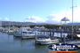 Harbour in Port Douglas . . . CLICK TO ENLARGE