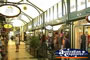 Port Douglas Marina Mirage Shops . . . CLICK TO ENLARGE