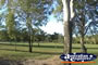 Port Douglas Reynolds Park . . . CLICK TO ENLARGE