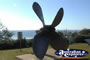 Rainbow Beach Cherry Venture Propeller . . . CLICK TO ENLARGE