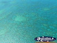 Sparkling Ocean in Heart Reef . . . CLICK TO ENLARGE