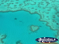 Heart Reef Birdseye View . . . CLICK TO ENLARGE