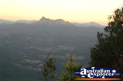 Springbrook Landscape . . . CLICK TO VIEW ALL SPRINGBROOK (BEST OF ALL LOOKOUT) POSTCARDS
