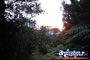 Springbrook Best Of All Lookout Walk View Gold Coast Hinterland