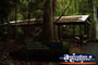 Springbrook Walk - Gold Coast Hinterland . . . CLICK TO ENLARGE