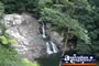 Springbrook Walk - Gold Coast Hinterland . . . CLICK TO ENLARGE