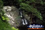 Springbrook Walk - Gold Coast Hinterland . . . CLICK TO ENLARGE