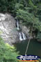 Springbrook Walk - Gold Coast Hinterland . . . CLICK TO ENLARGE