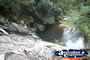 Springbrook Walk - Gold Coast Hinterland . . . CLICK TO ENLARGE