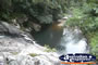 Springbrook Walk - Gold Coast Hinterland . . . CLICK TO ENLARGE