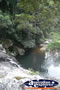 Springbrook Walk - Gold Coast Hinterland . . . CLICK TO ENLARGE