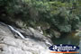 Springbrook Walk - Gold Coast Hinterland . . . CLICK TO ENLARGE