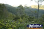 Springbrook Views from Wunburra Lookout - Gold Coast Hinterland