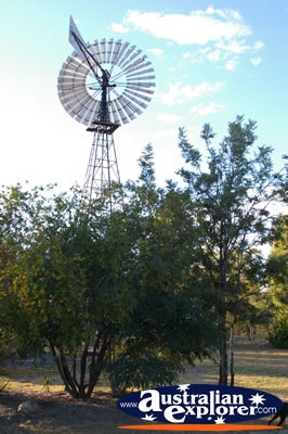 Old Windmill at Jensen Place . . . CLICK TO VIEW ALL SPRINGSURE (JENSEN PLACE) POSTCARDS