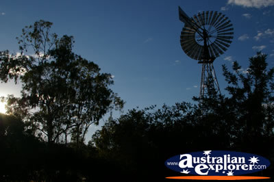 Large Windmill . . . CLICK TO VIEW ALL SPRINGSURE (JENSEN PLACE) POSTCARDS