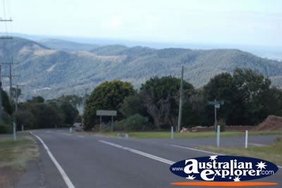Tamborine Mountain - Gold Coast Hinterland . . . VIEW ALL TAMBORINE MOUNTAIN PHOTOGRAPHS
