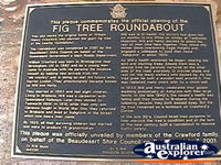 Tamborine Mountain Fig Tree Plaque . . . CLICK TO ENLARGE