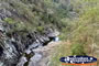 Tamborine Mountain . . . CLICK TO ENLARGE