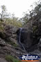 Tamborine Mountain . . . CLICK TO ENLARGE