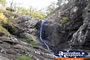 Tamborine Mountain . . . CLICK TO ENLARGE