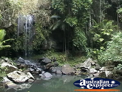 Tamborine Mountain . . . VIEW ALL TAMBORINE MOUNTAIN PHOTOGRAPHS