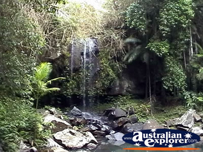 Tamborine Mountain . . . CLICK TO VIEW ALL TAMBORINE MOUNTAIN POSTCARDS
