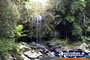 Tamborine Mountain . . . CLICK TO ENLARGE