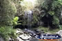 Tamborine Mountain . . . CLICK TO ENLARGE