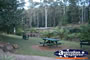 Tamborine Mountain Botanic Gardens Picnic Spot . . . CLICK TO ENLARGE