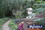Tamborine Mountain Botanic Gardens Entrance . . . CLICK TO ENLARGE