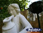 Great Sculpture in Tamborine Mountain