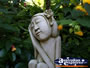 Gorgeous Sculpture in Tamborine Mountain