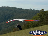 Hand glider ready for takeoff on Tamborine Mountain . . . CLICK TO ENLARGE