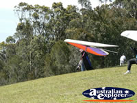 Tamborine Mountain Hand glider . . . CLICK TO ENLARGE