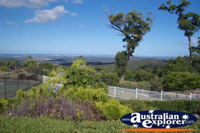 Mount Tamborine Lookout of the Gold Coast Hinterland . . . CLICK TO VIEW ALL TAMBORINE MOUNTAIN (LOOKOUT) POSTCARDS