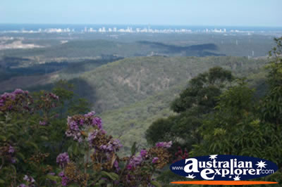 Mount Tamborine Lookout - Gold Coast Hinterland . . . CLICK TO VIEW ALL TAMBORINE MOUNTAIN (LOOKOUT) POSTCARDS