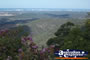 Mount Tamborine Lookout - Gold Coast Hinterland