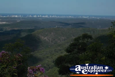 Tamborine Mountain Views from Lookout . . . VIEW ALL TAMBORINE MOUNTAIN (LOOKOUT) PHOTOGRAPHS