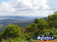 View from Tamborine Mountain Lookout . . . CLICK TO ENLARGE