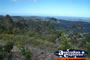 Gold Coast Hinterland Views from Tamborine Mountain Lookout