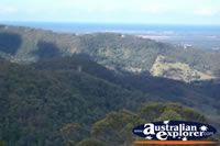 Tamborine Mountain Lookout Views of the Gold Coast Hinterland . . . CLICK TO ENLARGE